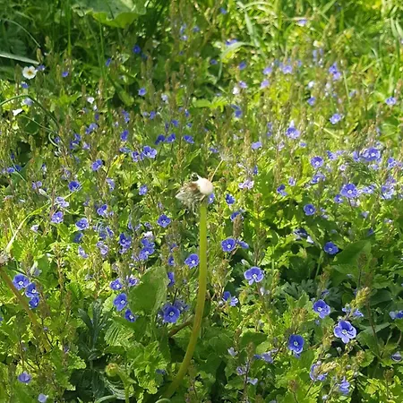 Dom wakacyjny Vceli Raj *