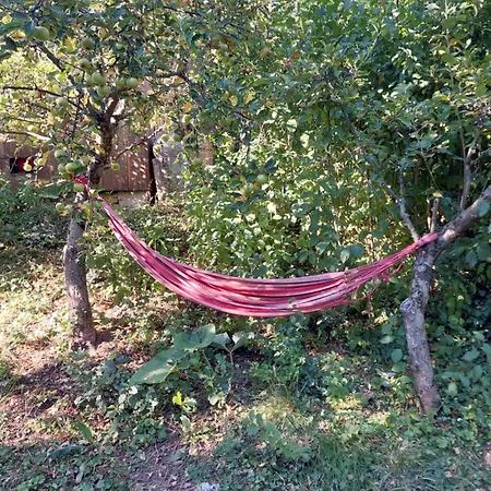 Vceli Raj Prázdninový dům *